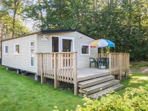 Oostappen park Arnhem - Camping Arnhem