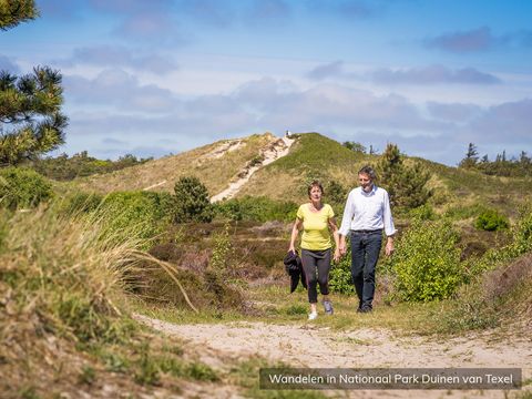 Residentie Californië - Texel - Image N°12