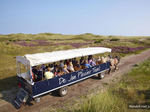 Residentie Californië - Texel - Image N°8