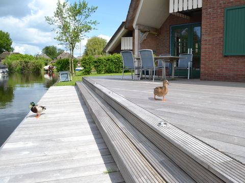 Waterpark Belterwiede - Steenwijkerland - Image N°2