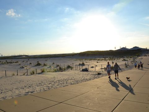 Strandpark Vlugtenburg aan Zee - Westland - Image N°40