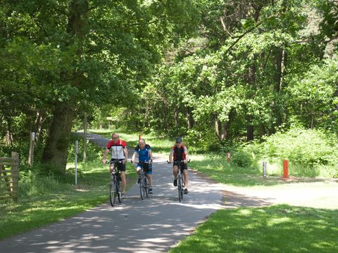 Holiday Suites Limburg - Limburg Belge