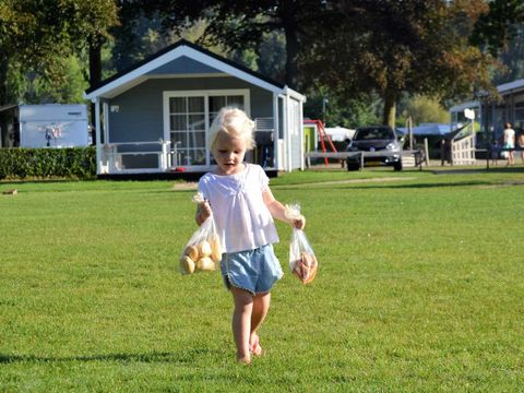 Molecaten Park Waterbos - Westvoorne - Image N°5