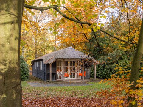 Molecaten Park De Leemkule - Hattem - Image N°22