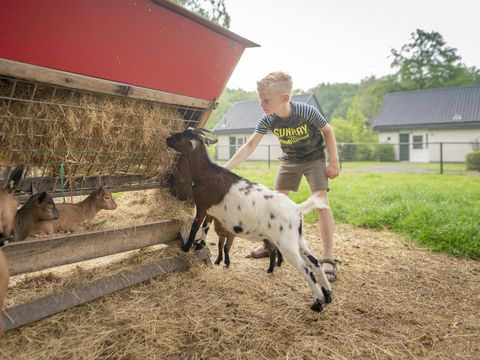 Bungalowpark Het Bosmeer - Weststellingwerf