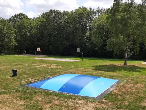 Bungalowpark Het Bosmeer - Weststellingwerf - Image N°9