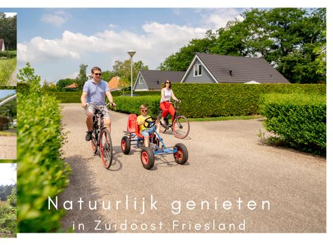 Bungalowpark Het Bosmeer - Weststellingwerf - Image N°16