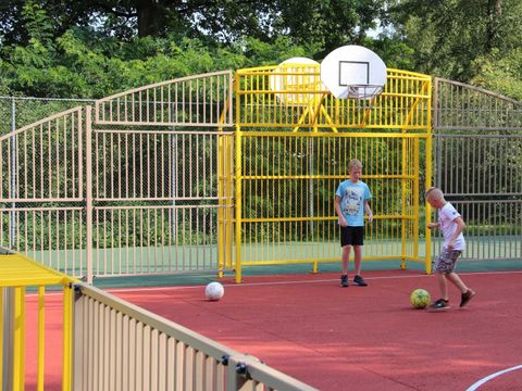 Molecaten Park Landgoed Ginkelduin - Utrechtse Heuvelrug
