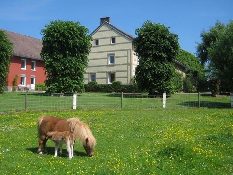 Bungalowpark Landsrade - Gulpen-Wittem - Image N°35