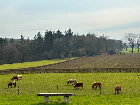 Bungalowpark Landsrade - Gulpen-Wittem - Image N°20
