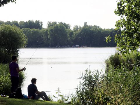 Vakantiepark Delftse Hout - Delft - Image N°36