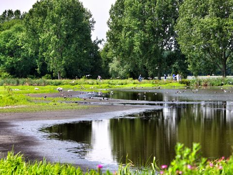 Vakantiepark Delftse Hout - Delft - Image N°43