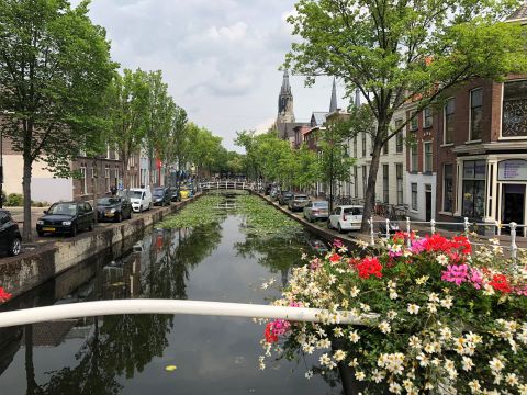 Vakantiepark Delftse Hout - Delft - Image N°39