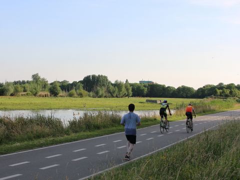 Vakantiepark Delftse Hout - Delft - Image N°35