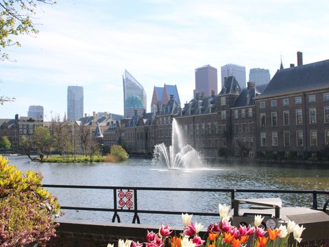 Vakantiepark Delftse Hout - Delft - Image N°29