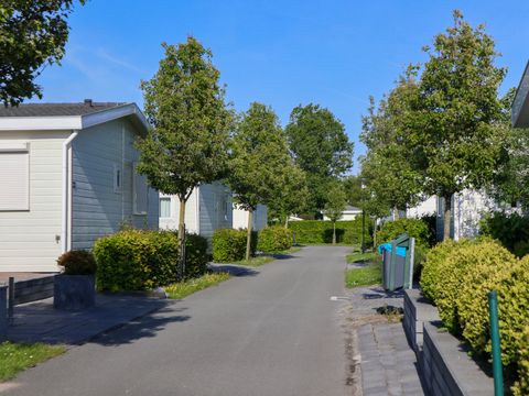 EuroParcs Schoneveld - Sluis - Image N°46