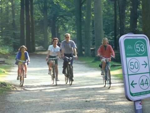 Recreatiepark Klein Strand - Flandre Occidentale - Image N°9