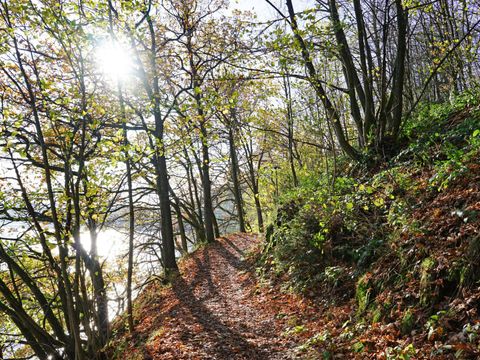 Vakantiepark Worriken - Liège