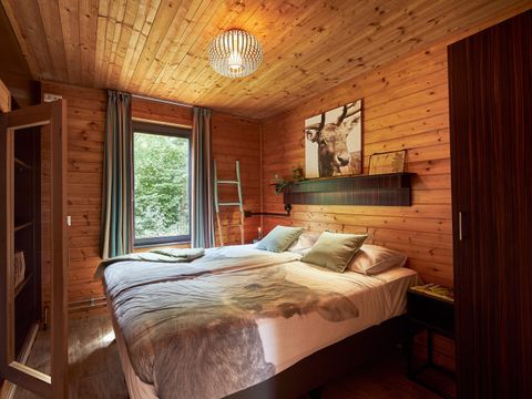 Vakantiepark Dierenbos - Meierijstad - Image N°4