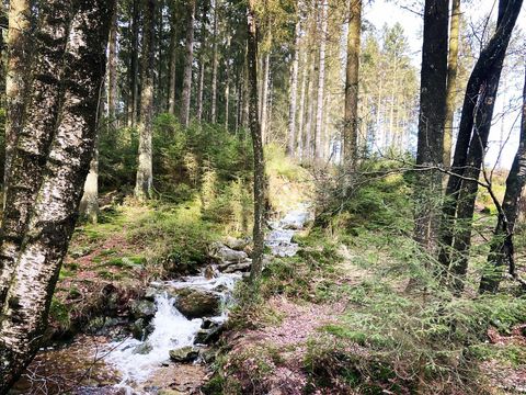 Camping Oos Heem - Liège - Image N°5