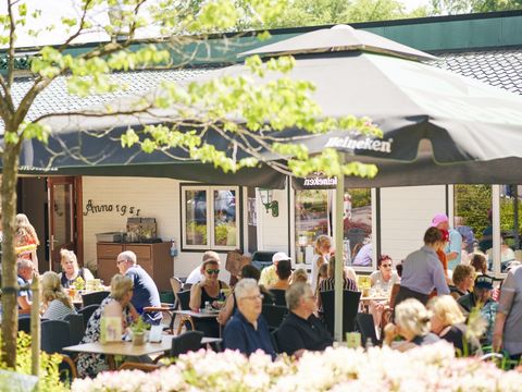 Vakantiepark Het Lierderholt - Apeldoorn - Image N°12