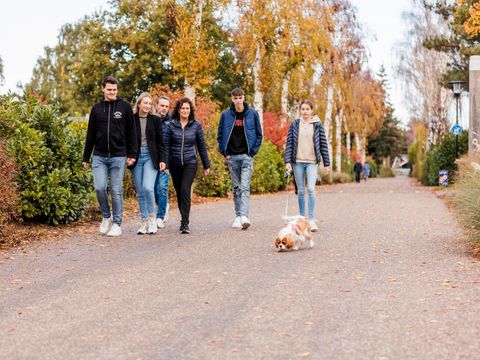 Vakantiepark Leukermeer - Bergen - Image N°12