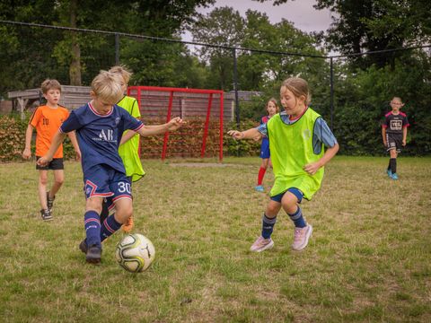 Recreatiepark De Boshoek - Barneveld - Image N°25