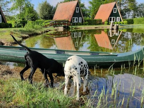 Vakantiepark Eigen Wijze - Noordoostpolder - Image N°5