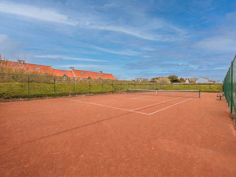 Zeepark De Haan-Wenduine - Flandre Occidentale - Image N°3