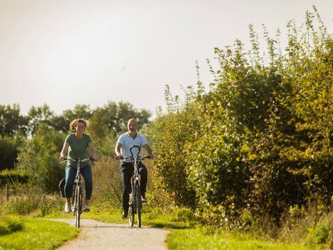 Landal Orveltermarke - Midden-Drenthe - Image N°3