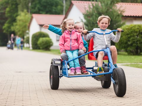 Trixi Ferienpark Zittauer Gebirge - Saxe - Image N°2