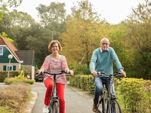 Landal Hunerwold State - Westerveld