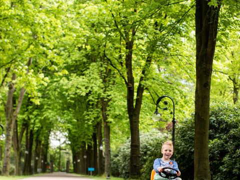 TopParken Landgoed de Scheleberg - Ede - Image N°23