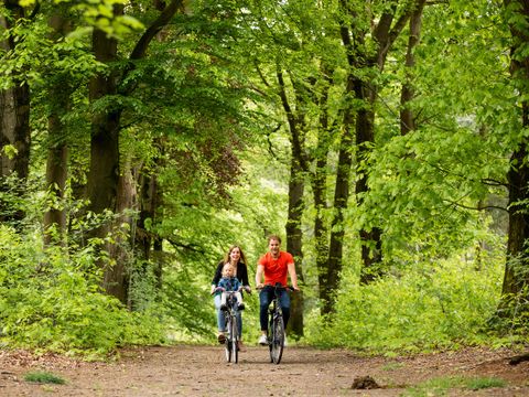 TopParken Landgoed de Scheleberg - Ede