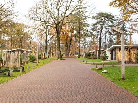 TopParken Bospark Ede - Ede - Image N°30