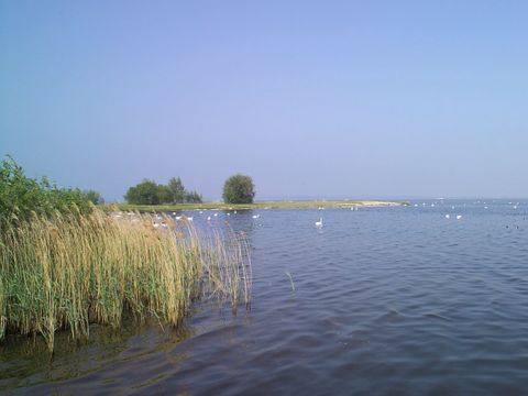 EuroParcs Bad Hoophuizen - Apeldoorn - Image N°41