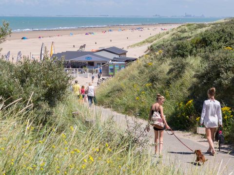 Molecaten Park Hoogduin - Cadzand - Image N°4