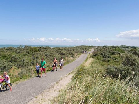 Molecaten Park Hoogduin - Cadzand - Image N°2