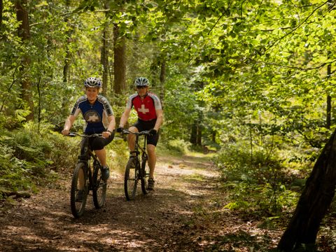 Landal Residence 't Hof van Haamstede - Schouwen-Duiveland