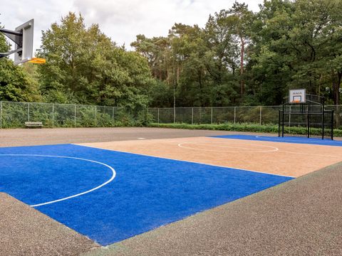 Landal Bospark Lunsbergen - Borger-Odoorn