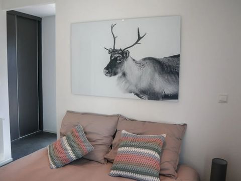 EuroParcs Spaarnwoude - Haarlemmermeer - Image N°3