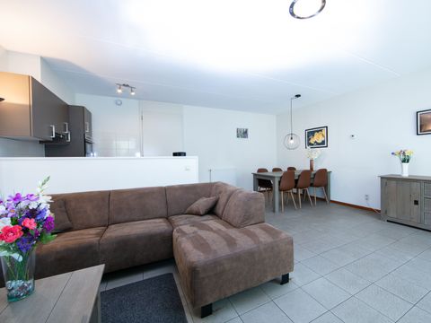 Horsetellerie Rheezerveen - Hardenberg - Image N°38