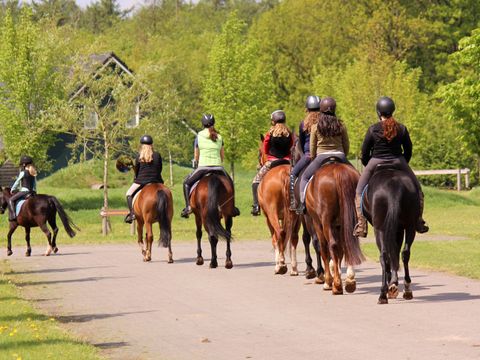 Horsetellerie Rheezerveen - Hardenberg - Image N°29