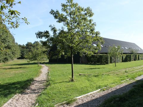 Horsetellerie Rheezerveen - Hardenberg - Image N°22