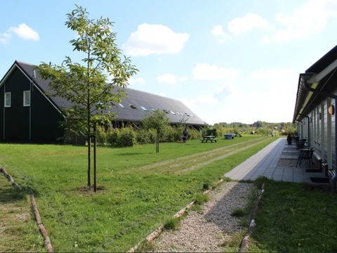 Horsetellerie Rheezerveen - Hardenberg - Image N°15