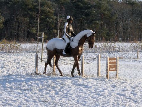 Horsetellerie Rheezerveen - Hardenberg - Image N°9