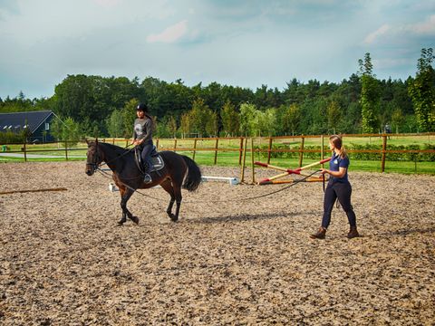 Horsetellerie Rheezerveen - Hardenberg - Image N°16