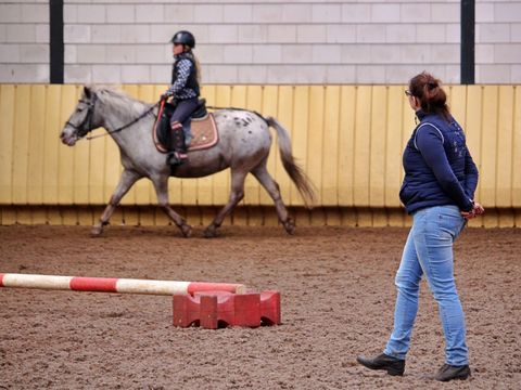 Horsetellerie Rheezerveen - Hardenberg - Image N°30