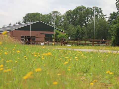 Horsetellerie Rheezerveen - Hardenberg - Image N°31