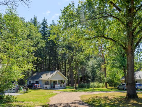 RCN Vakantiepark de Flaasbloem - Goirle - Image N°49